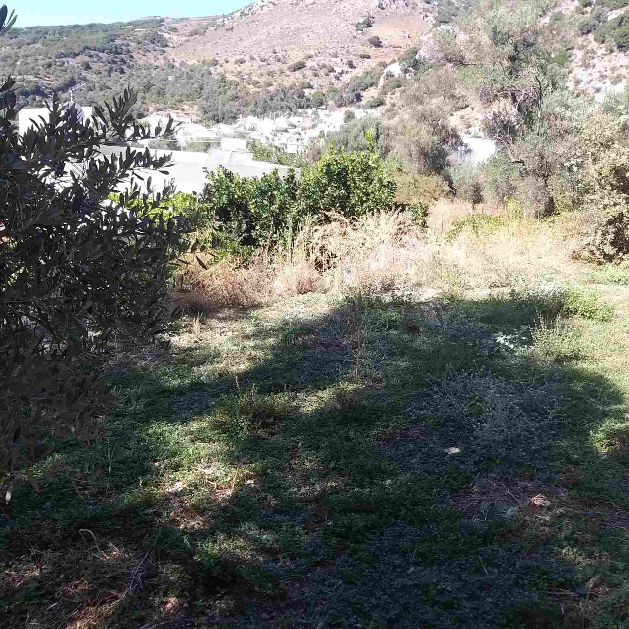Land For Sale in Spili. ID 13-2778