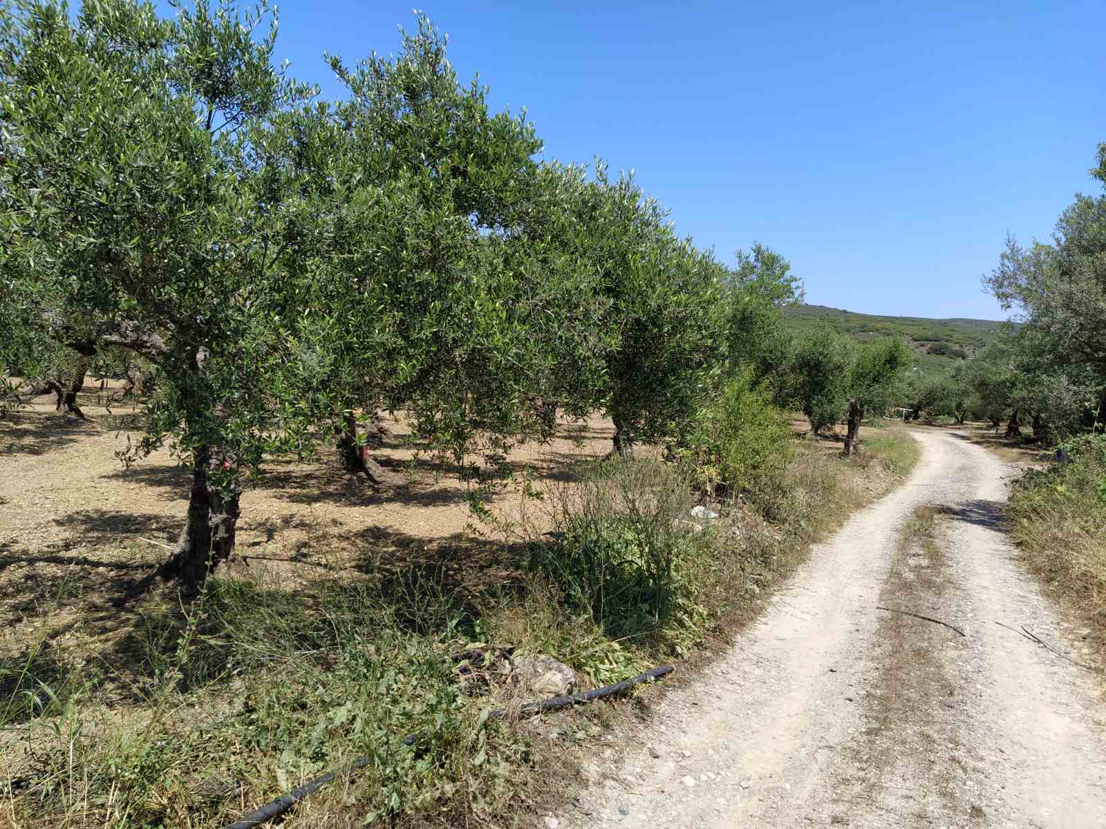 Land for sale in Kolymbari Chania. ID 03-2646