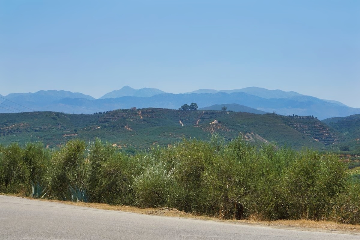 Land for sale in Xamoudochori Platanias. ID 03-2637