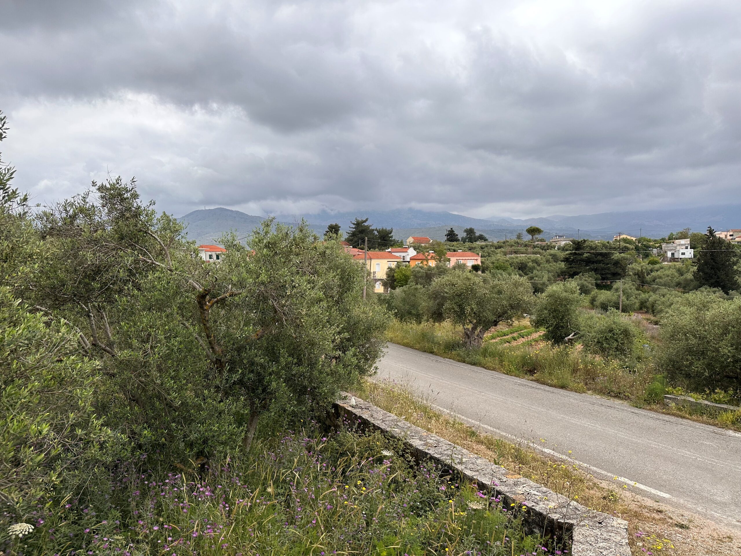 Land with a License for Two Houses in Apokoronas. ID 03-2602