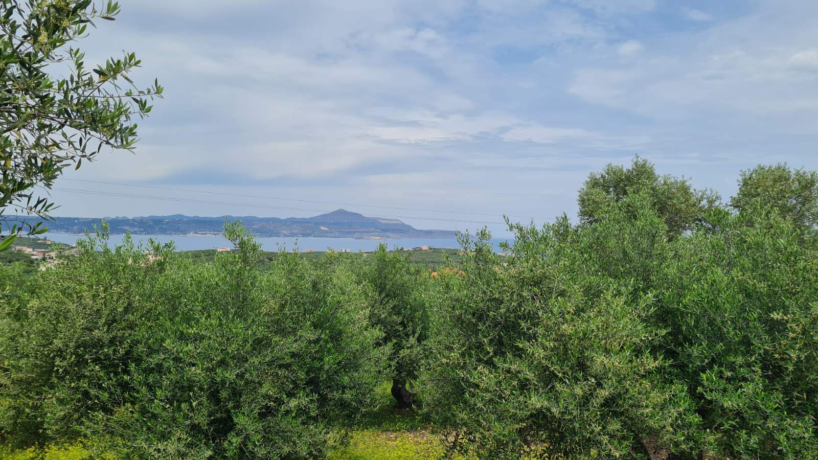Seaview Plot for sale in Tsivaras. ID 03-2600