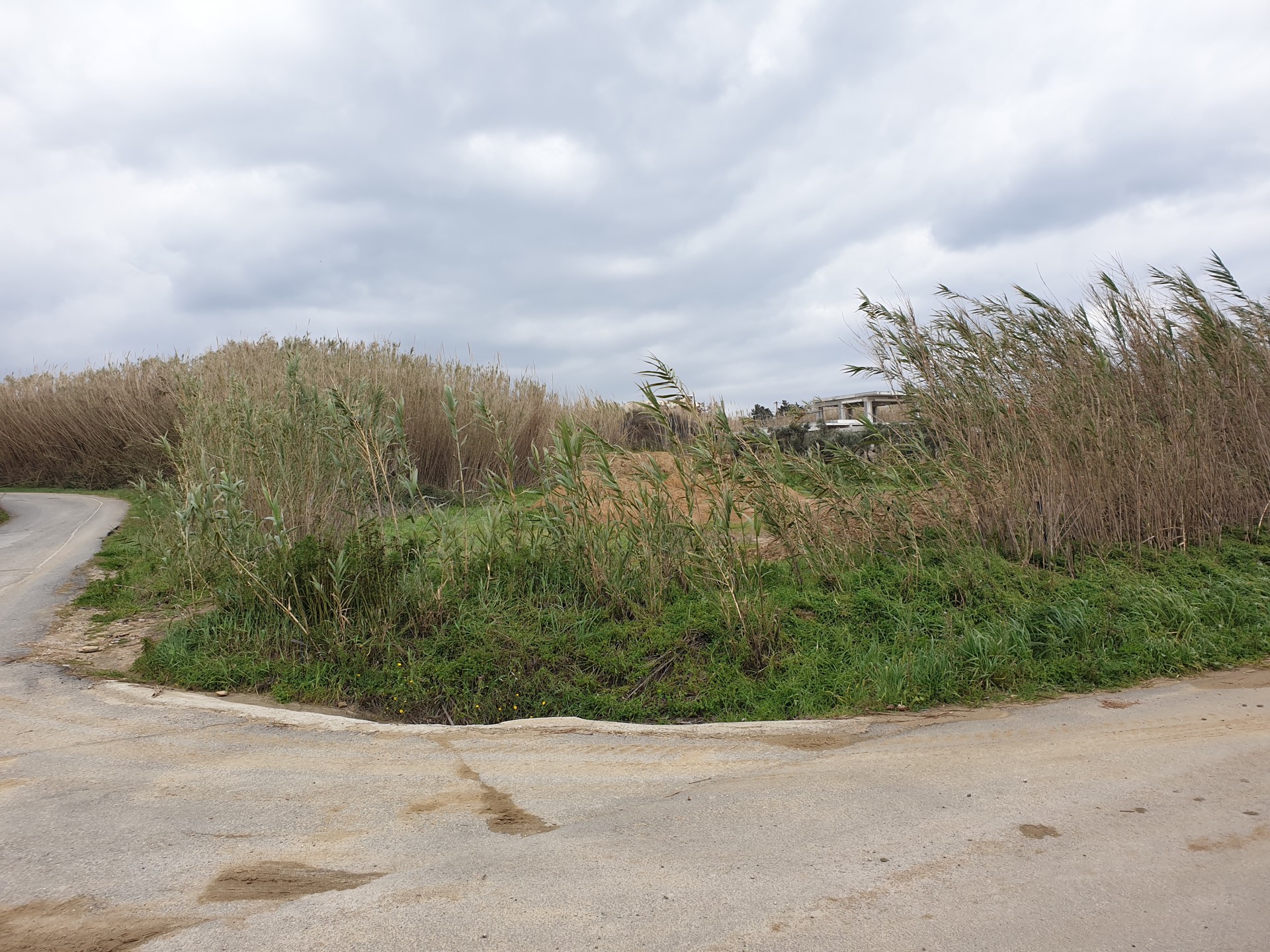 Land in Pyrgos Psilonerou for sale. ID 03-2568