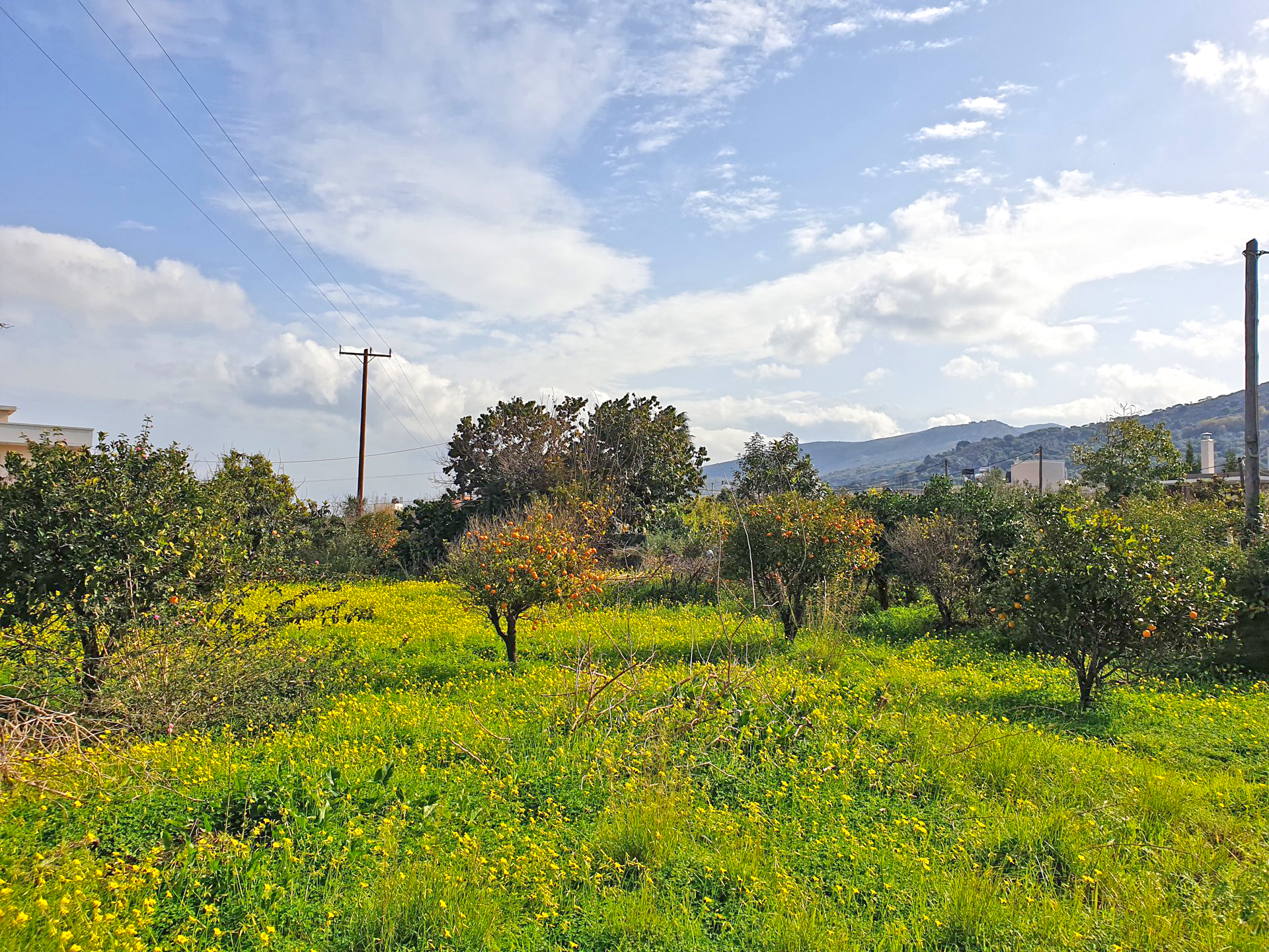 Two adjacent plots for sale in Chania. ID 03-2555