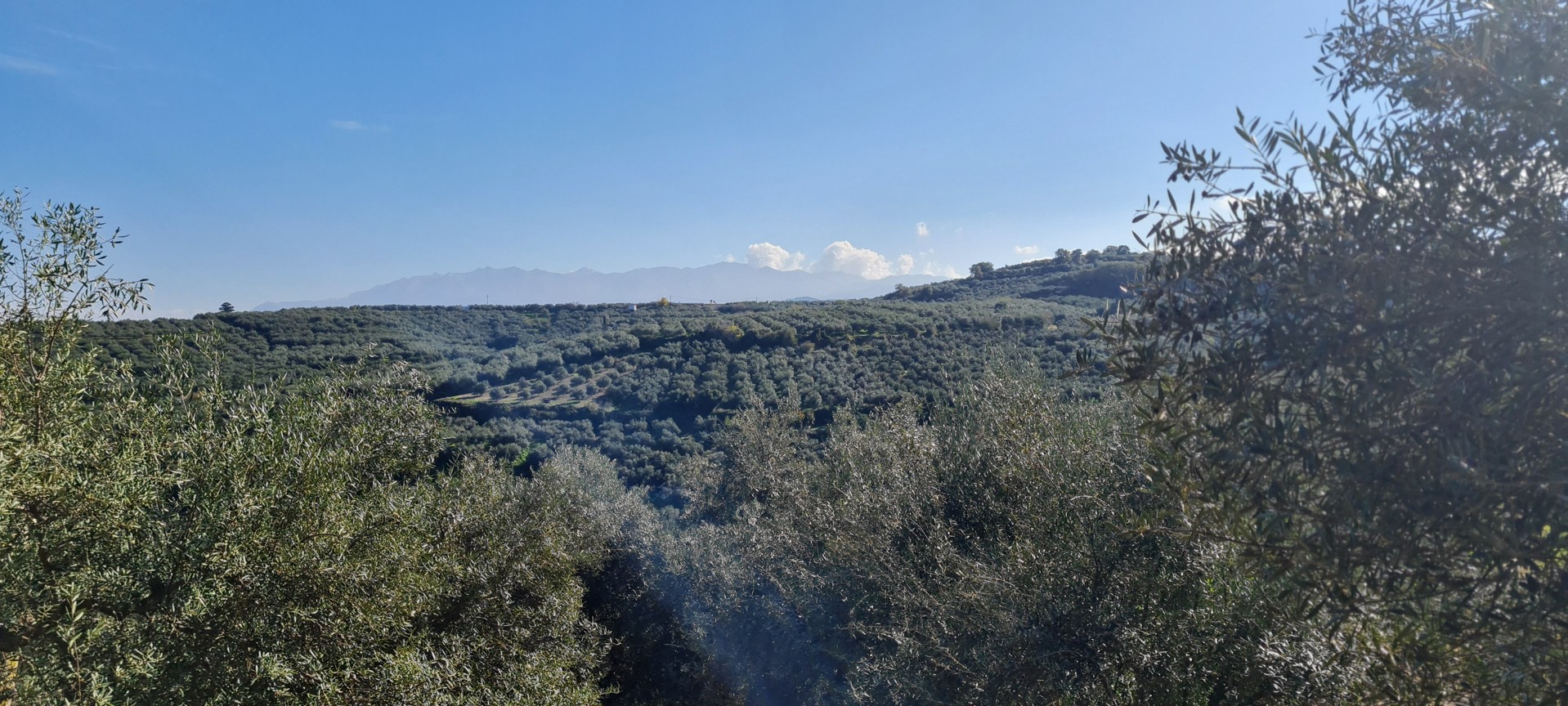 Land for sale in Platanias. ID 03-2521