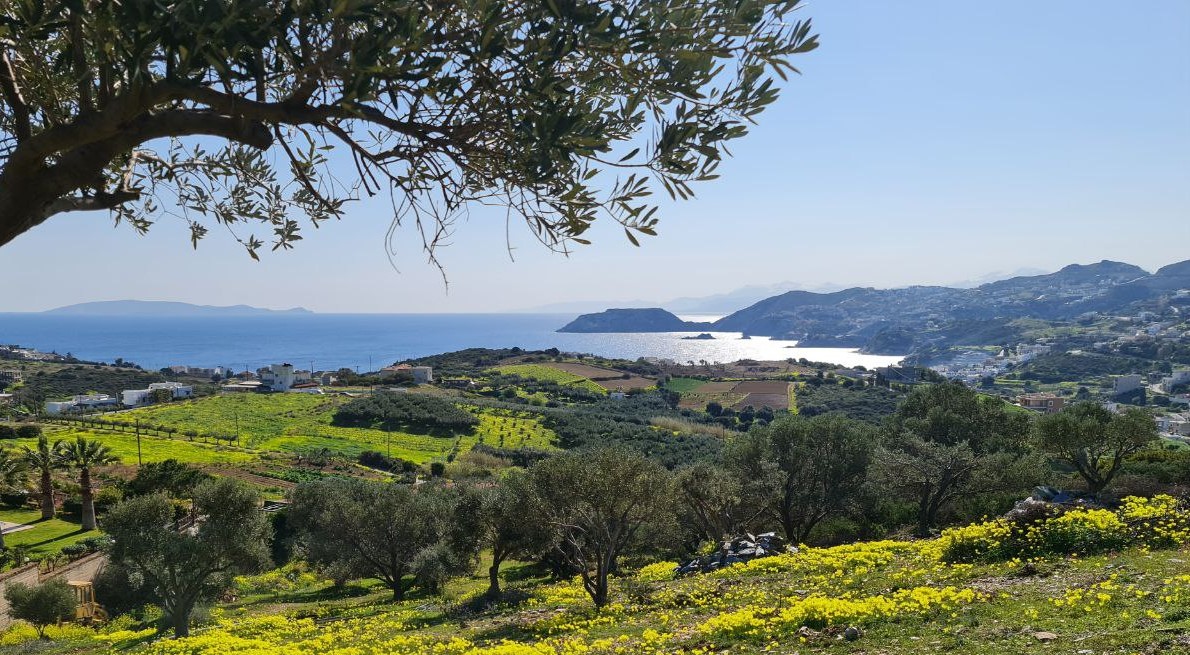 Heraklion Seaview plot with a pre-approved project for Two Villas. ID 23-2517