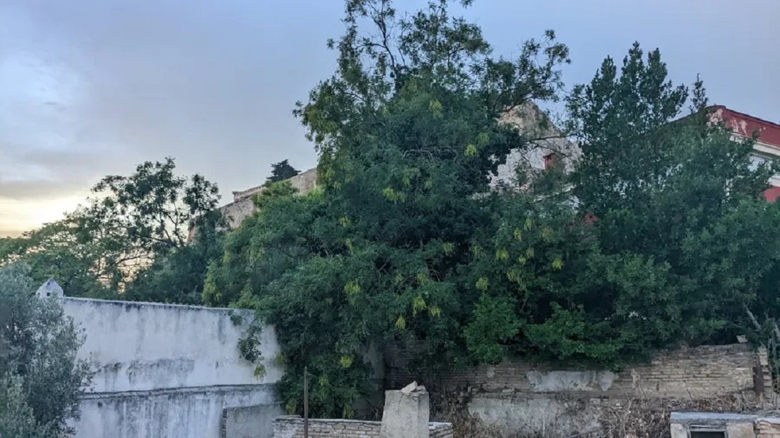 Land for sale in Athens Historical city center. ID A3-2511