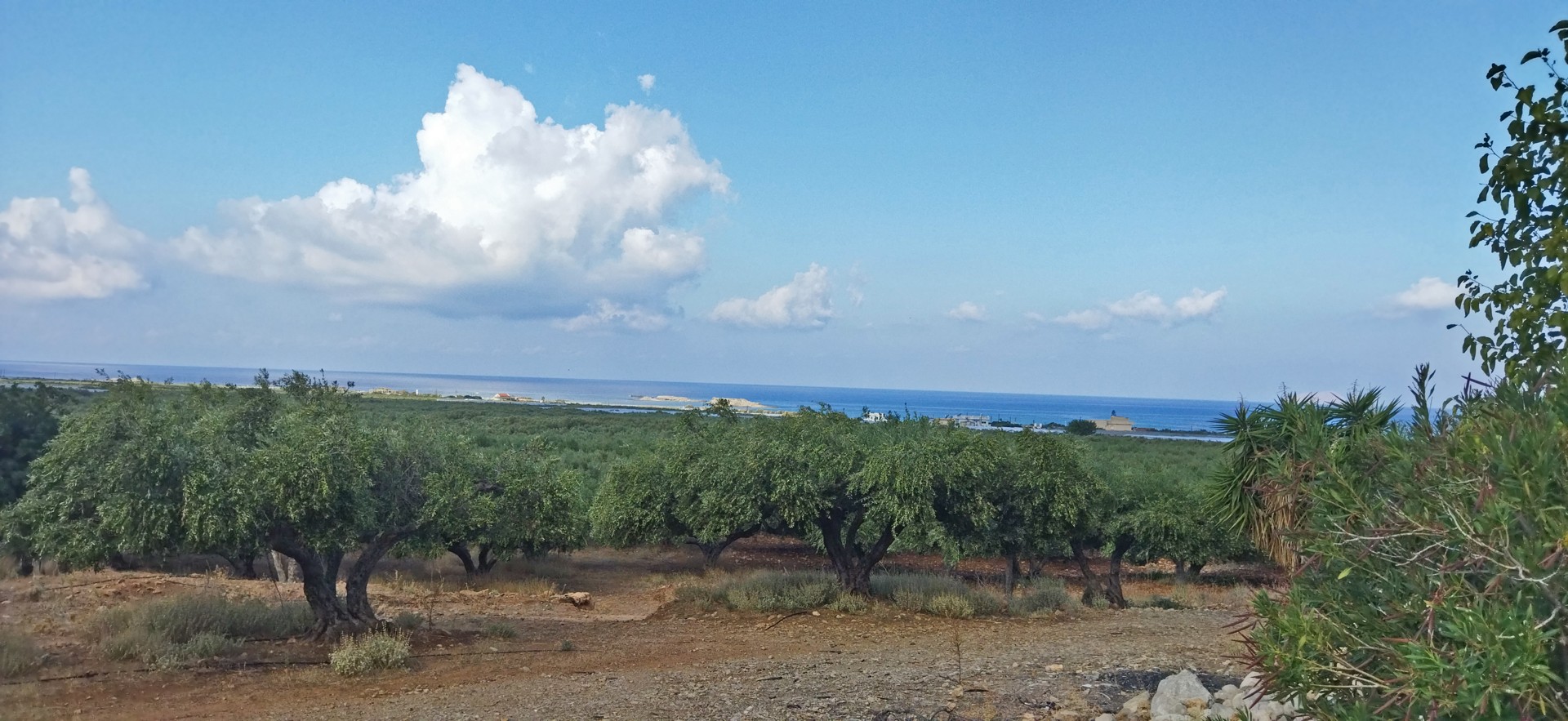 Land for sale in Falasarna. ID 03-2470