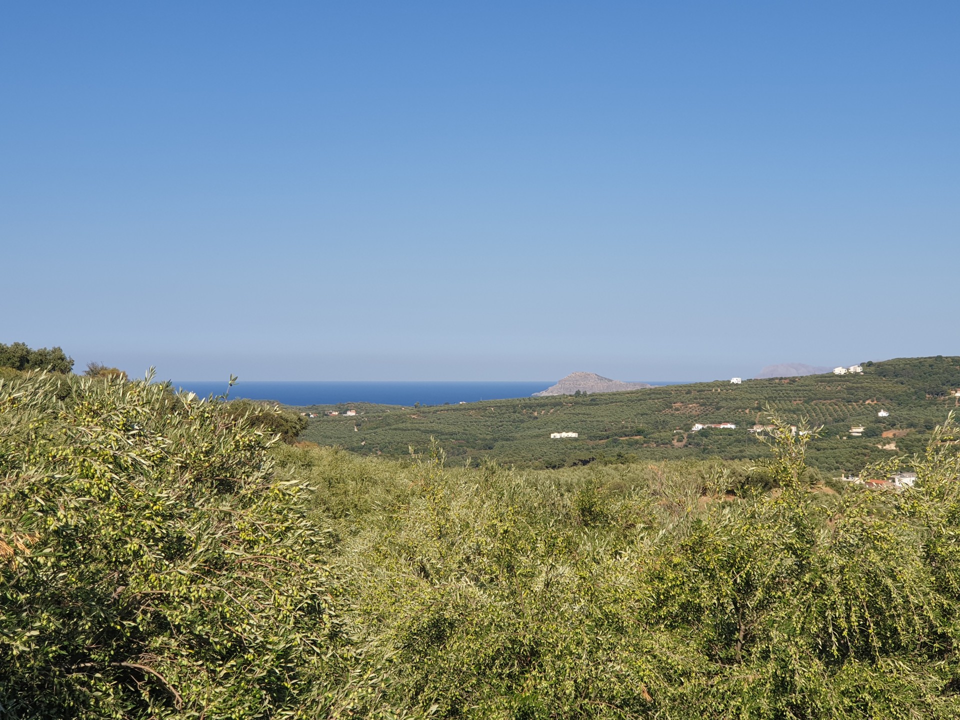 Land for sale in Platanias Xamoudochori. ID 03-2469