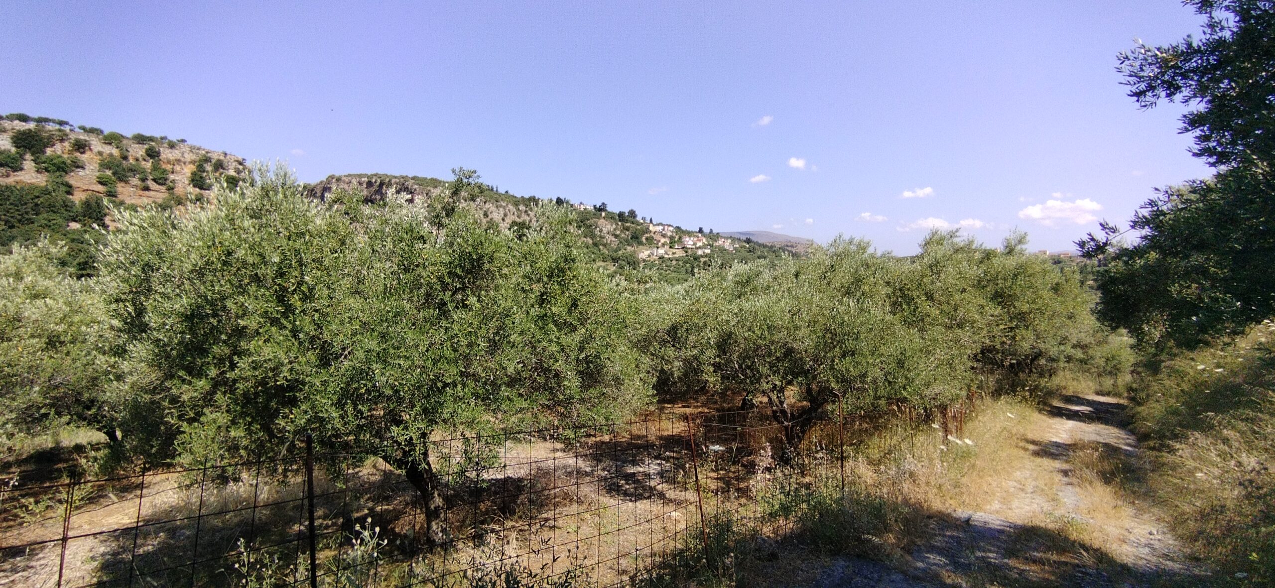 Plot for sale in Apokoronas. ID 03-2398