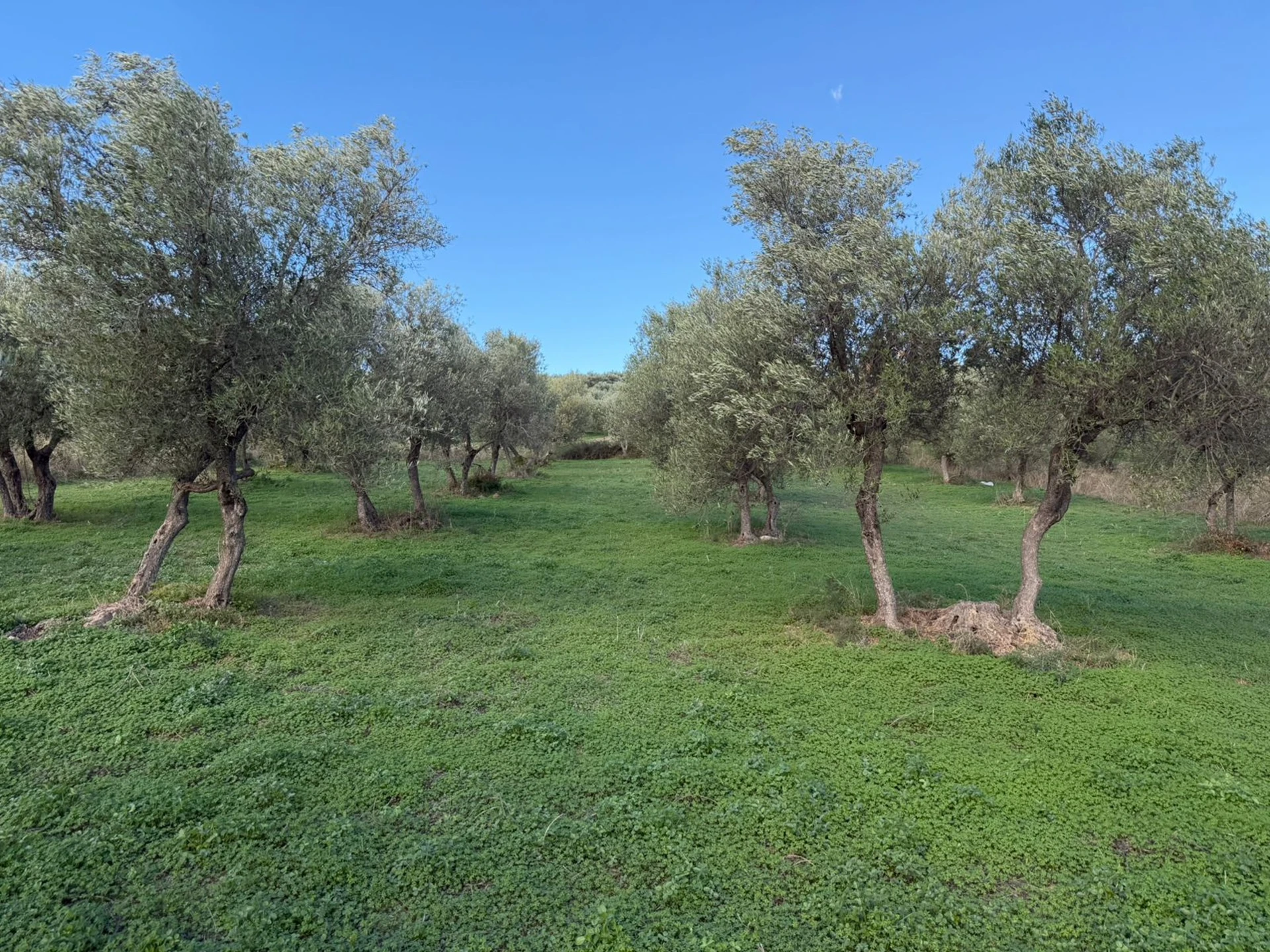 Plot with Building Permit for sale in Apokoronas. ID 03-3328