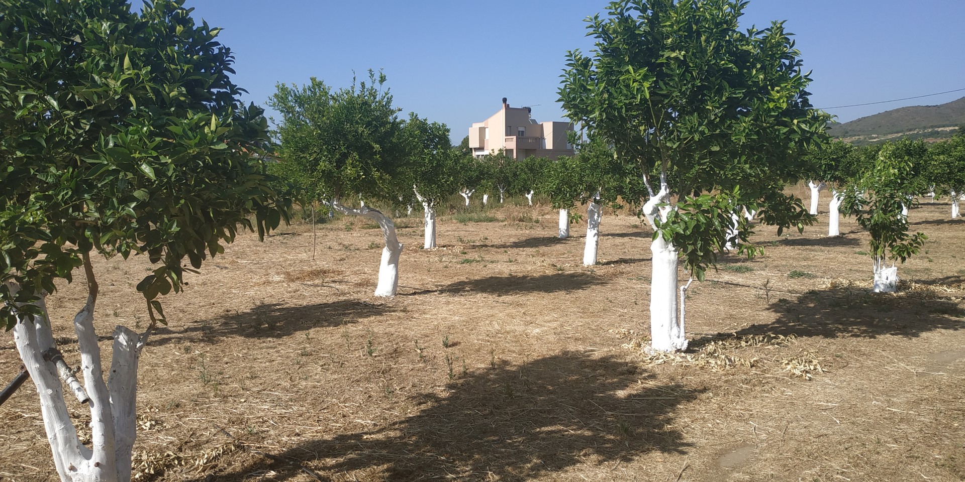 Investment Land for sale in Chania Alikianos. ID 03-2384