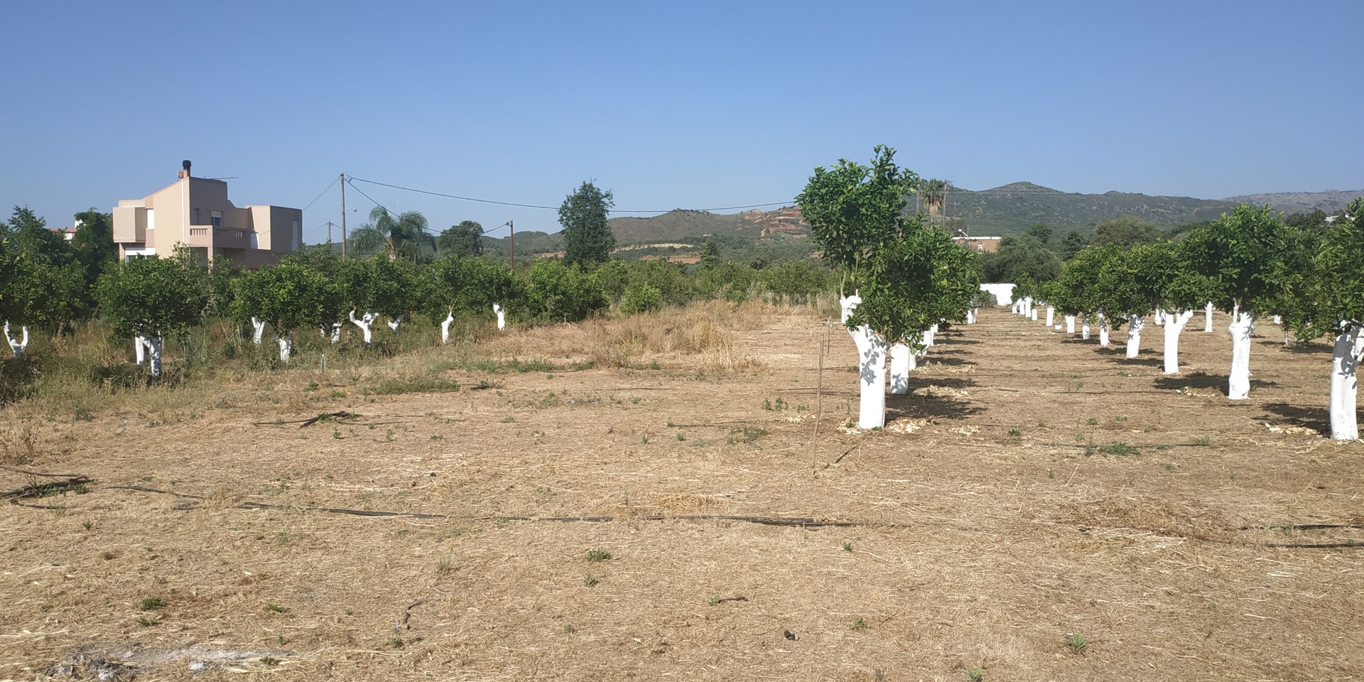 Plot for sale in Alikianos Chania. ID 03-2385