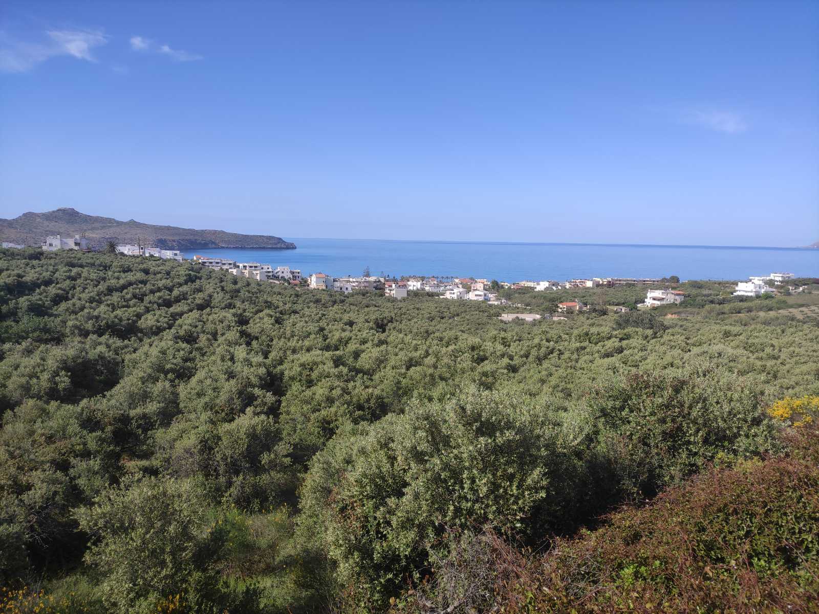 Plot for sale in Agia Marina. ID 03-2364