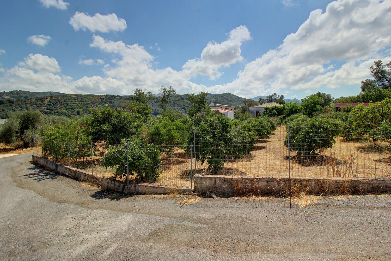 Land for sale in Voukolies, Chania. ID 03-2356