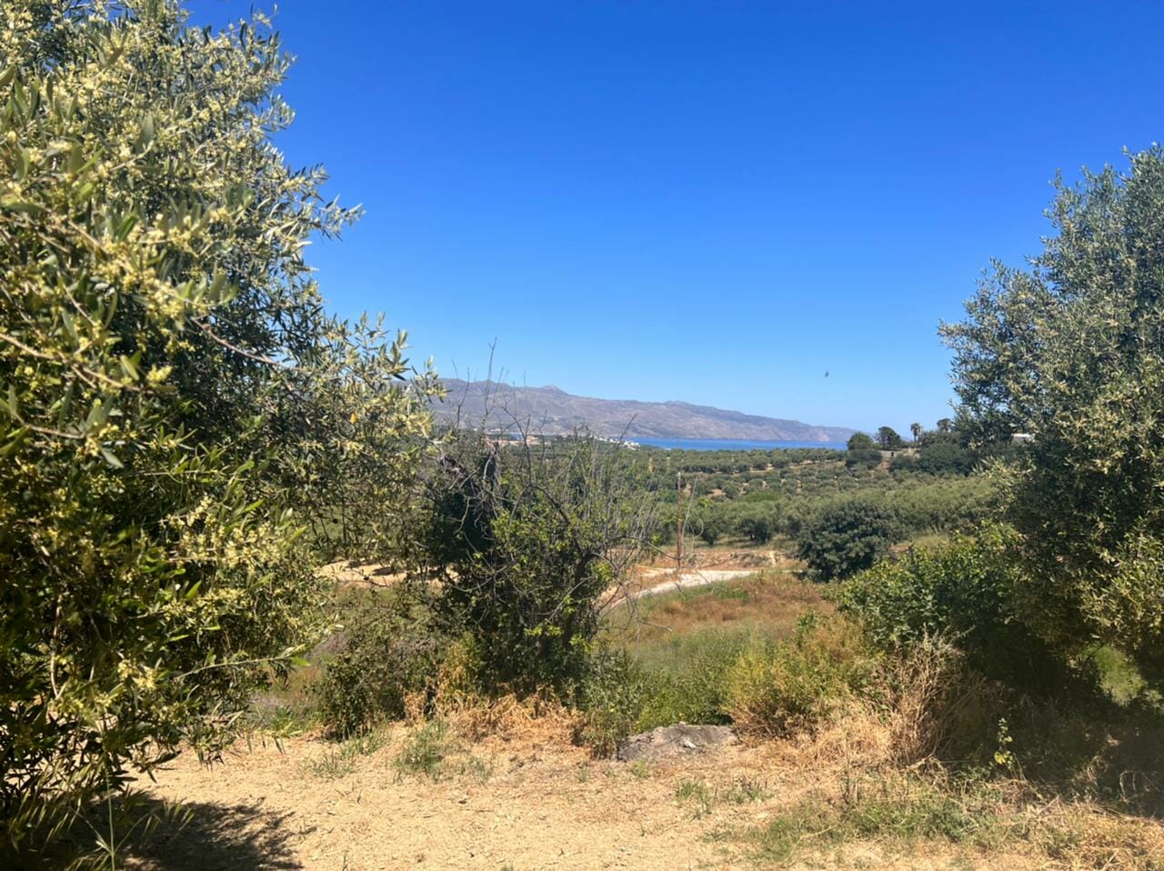 Plot in Melidoni for sale. ID 03-2354