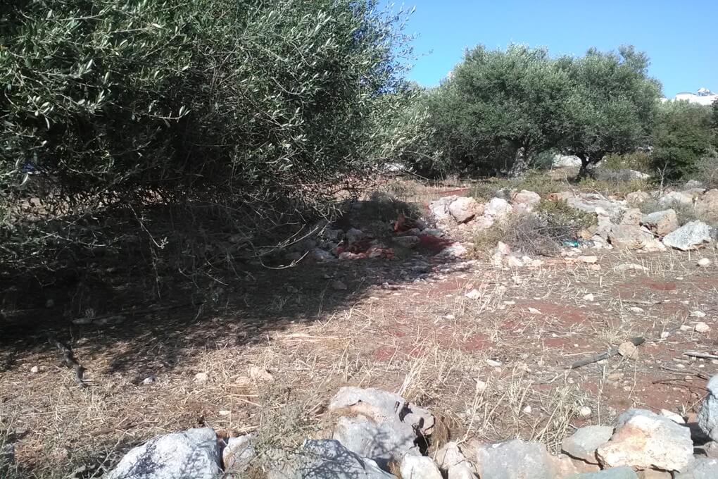 Land for sale near Gerani Chania. ID 03-2348