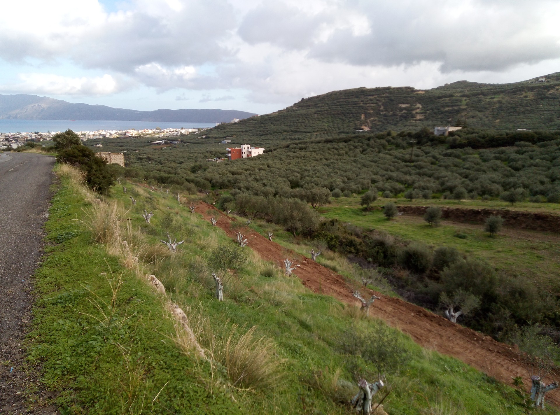 Seaview Land for sale in Kastelli Kissamos. ID 03-2289
