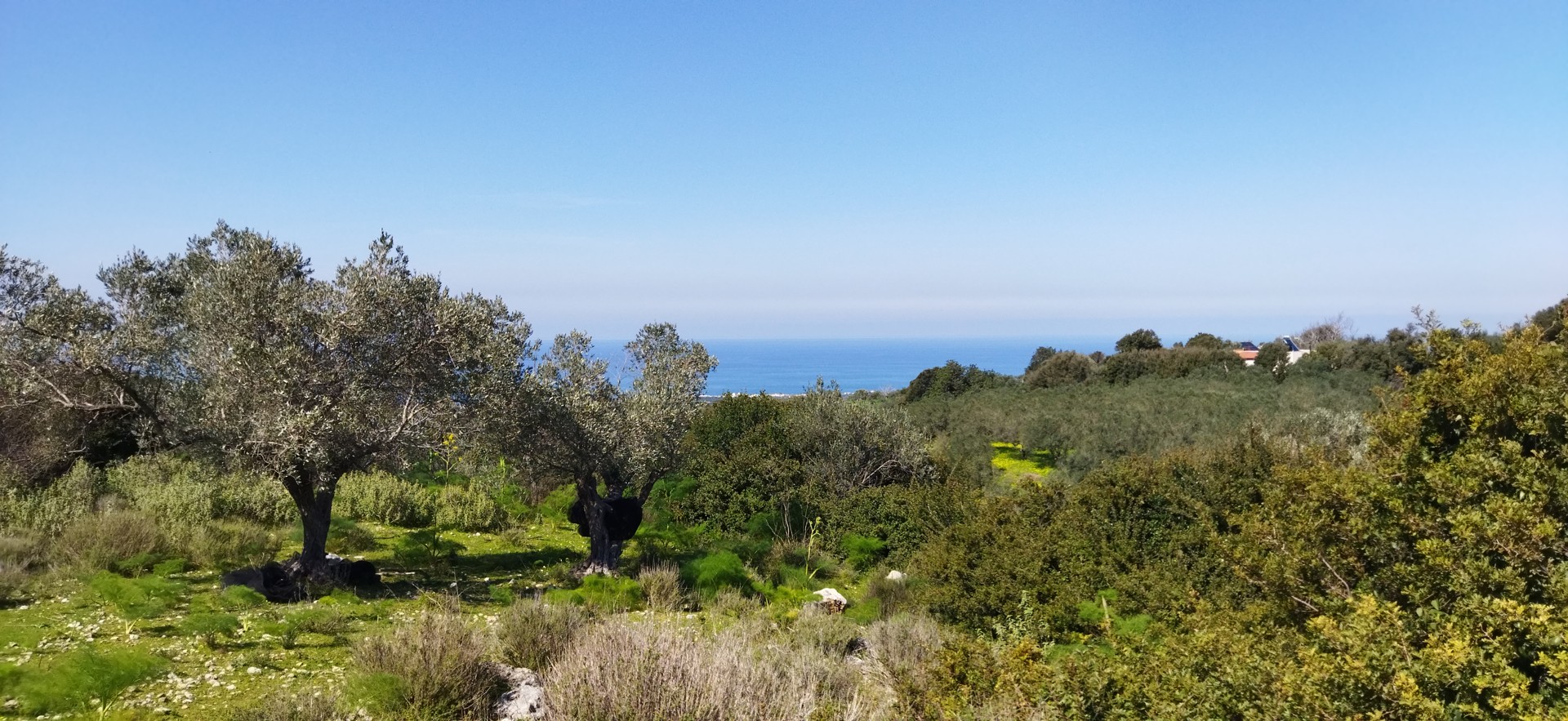 Rethymno Land for sale. ID 03-2292