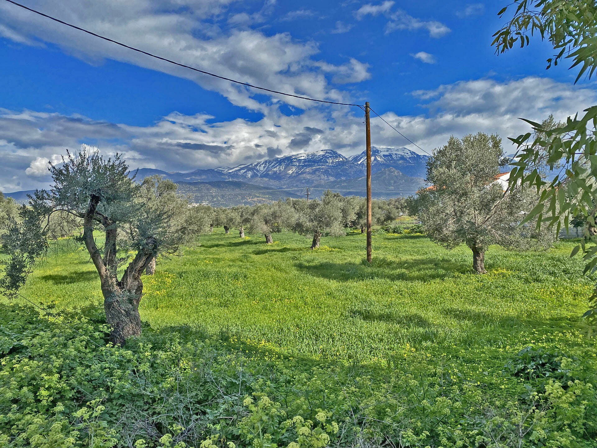Land for sale in Tympaki South Heraklion. ID 23-2263