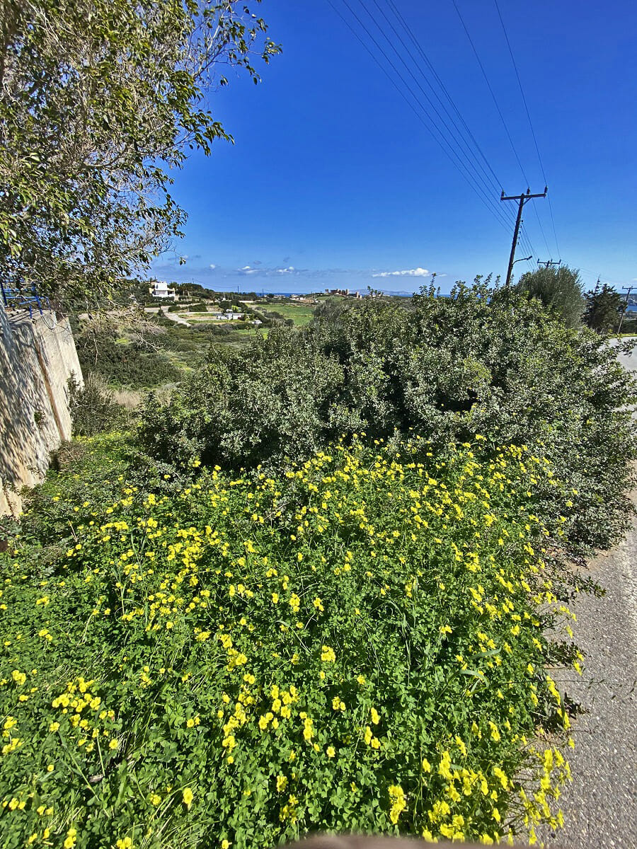 Land for sale in Agia Pelagia. ID 23-2279