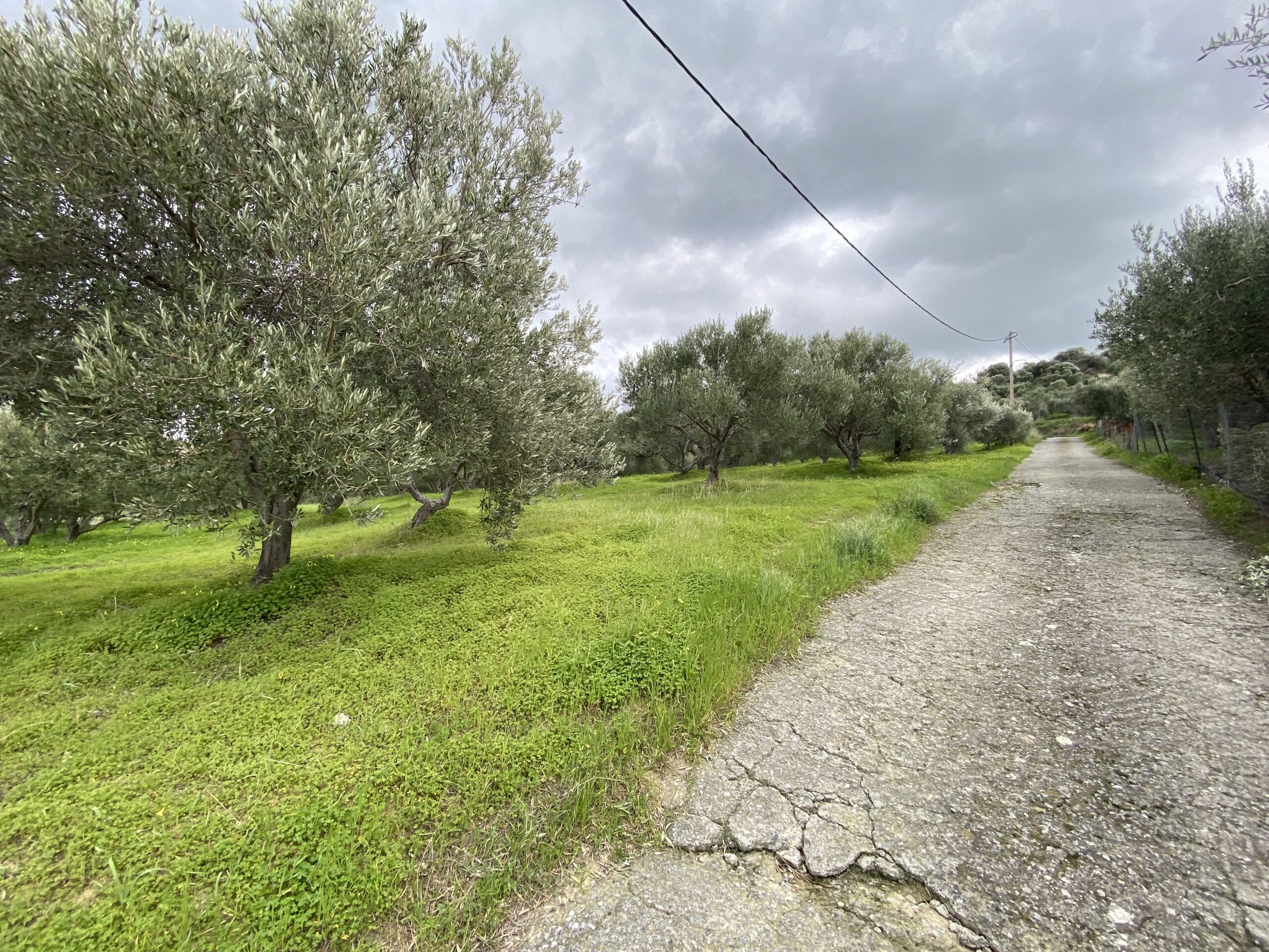 Land for sale near Heraklion. ID 23-2267
