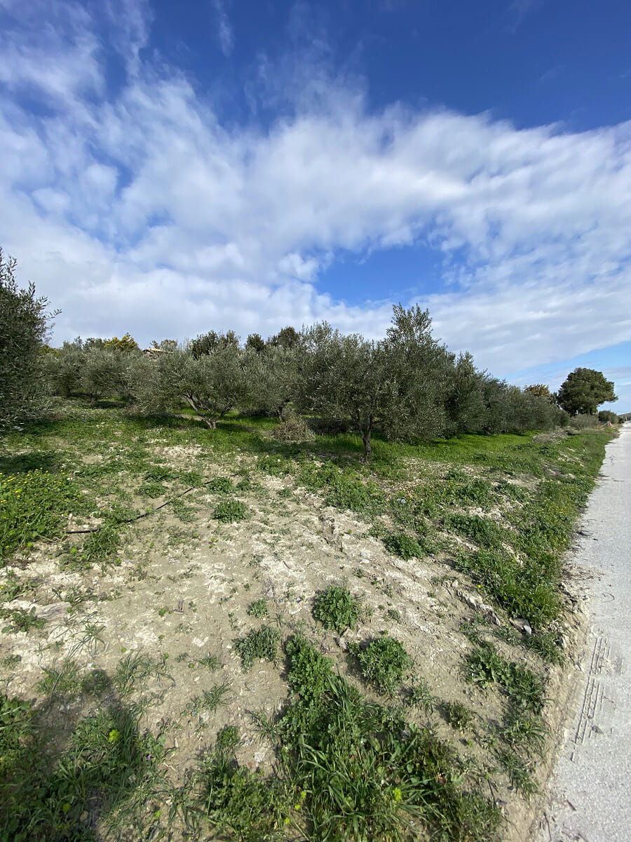Land for sale in Heraklion. ID 23-2262