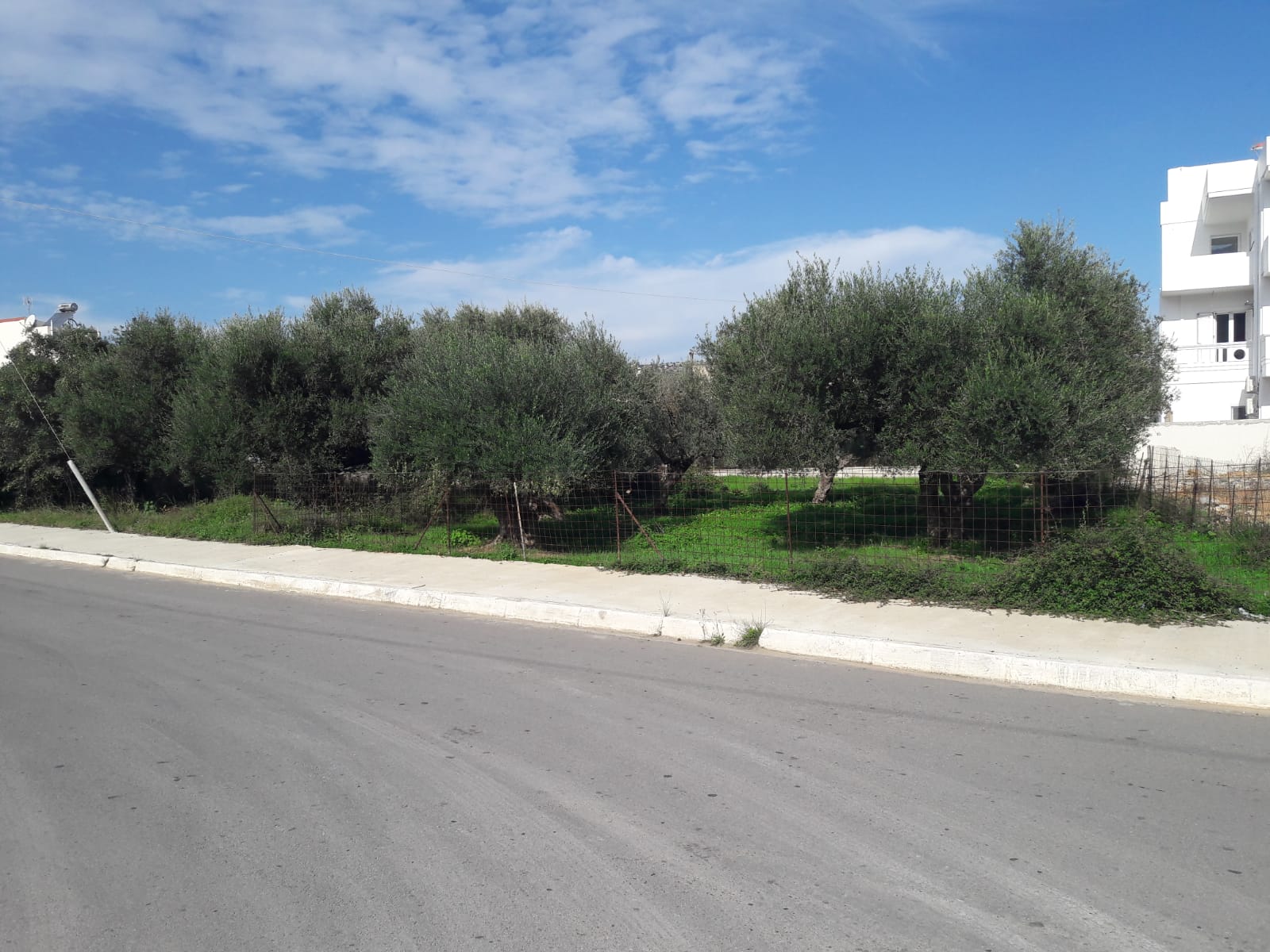 Land for sale in Souda. ID 03-2196