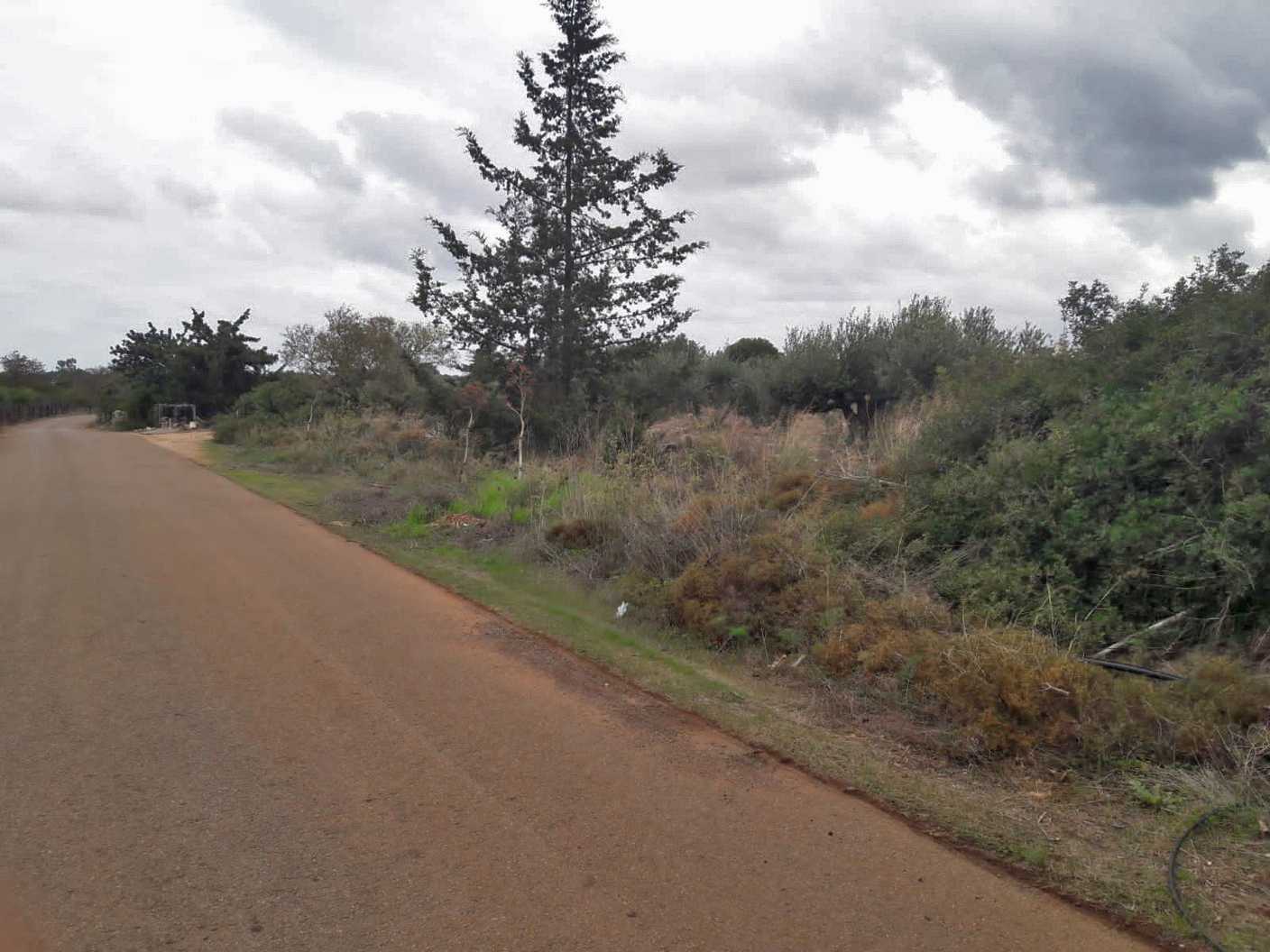 Land for sale in Aroni. ID 03-2176