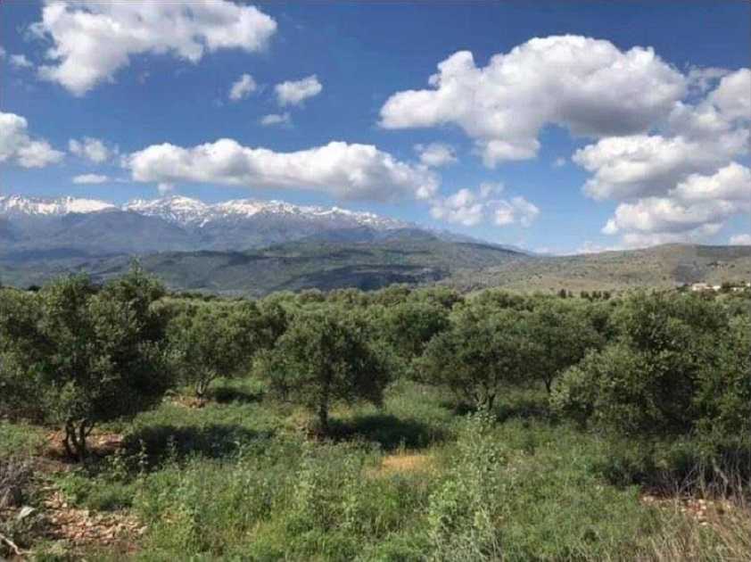 Land for sale in Megala Chorafia. ID 03-2112