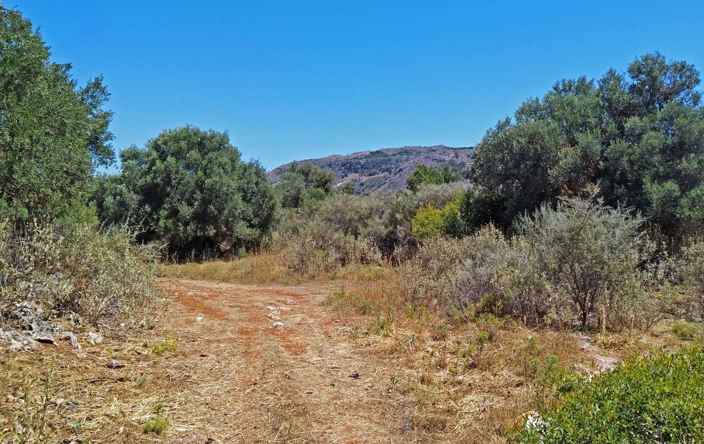 Land for sale in Apokoronas Drapanos. ID 03-2101