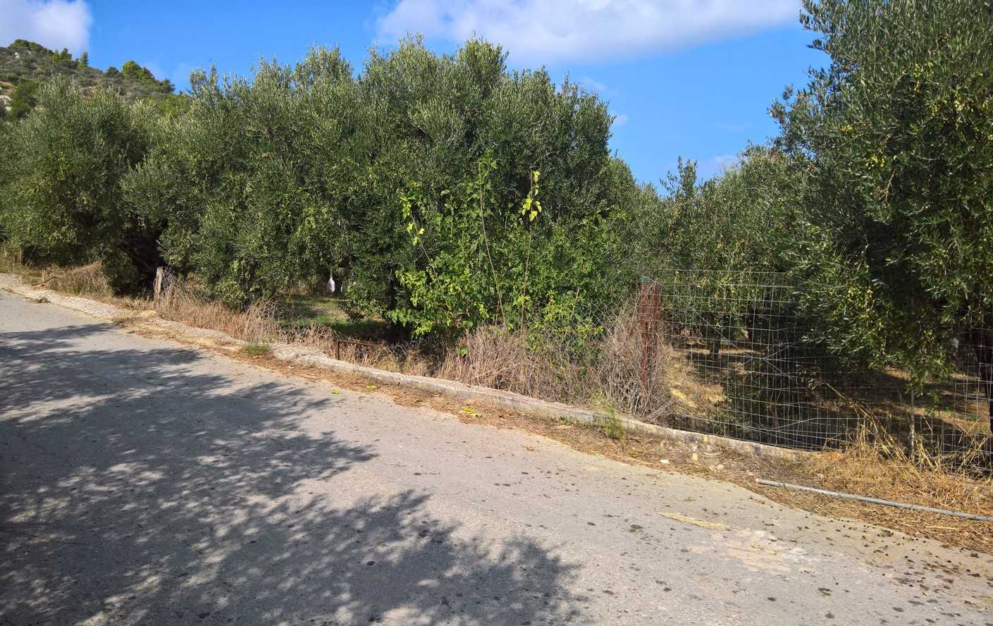 Land for sale in Spilia Kolymbari. ID 03-2088