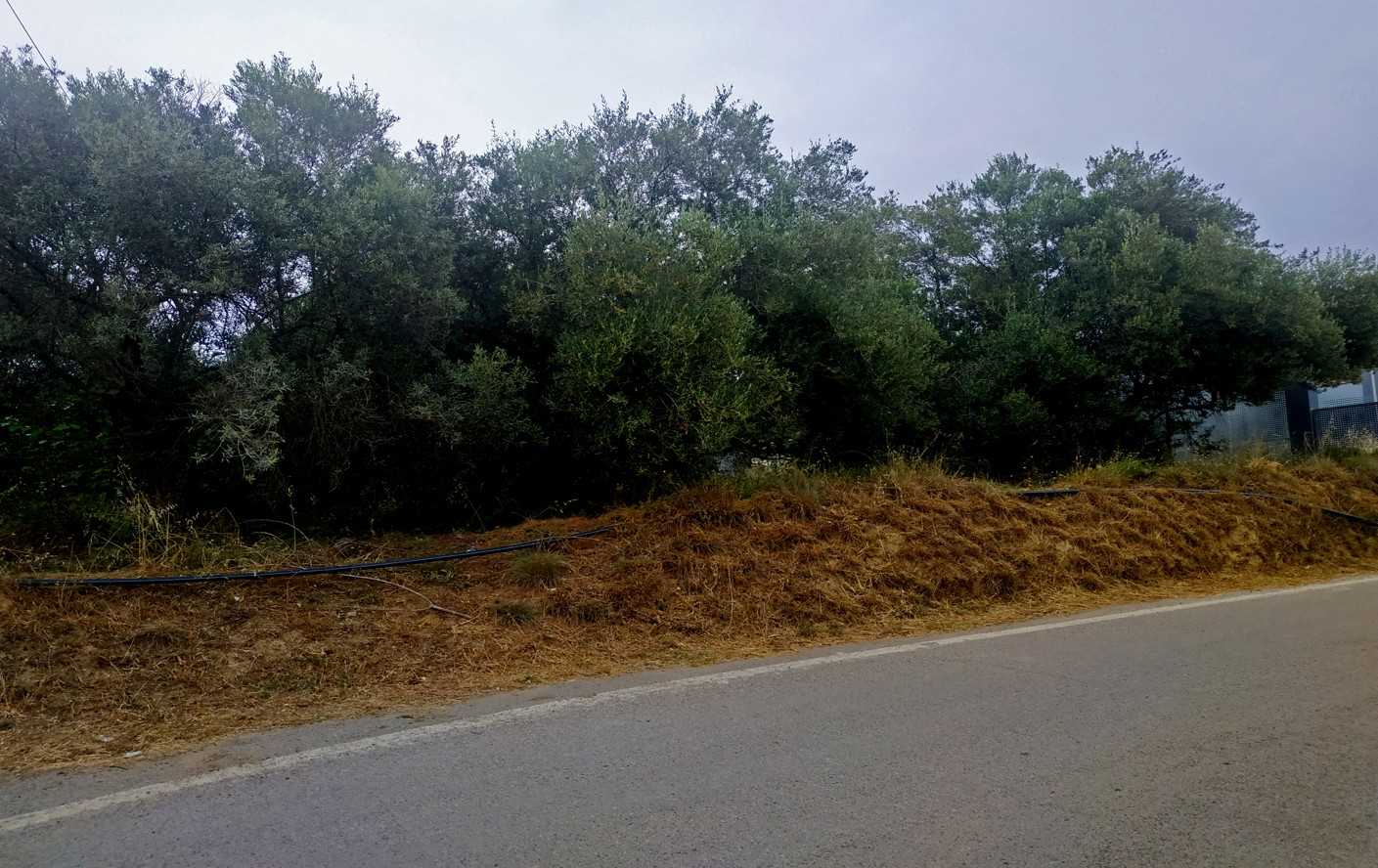 Chania Land for sale in Agia Marina. ID 03-2081