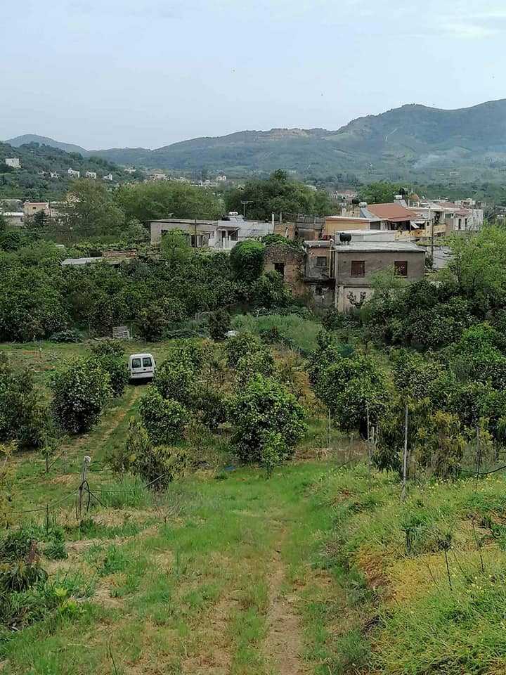 Land for sale in Skines Alikianos. ID 03-2077