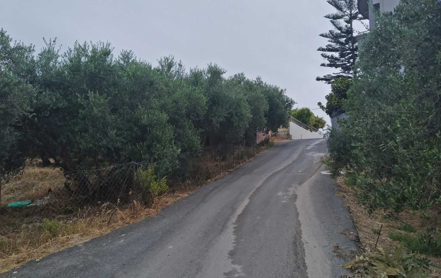 Land for sale in Lygides Chania. ID 03-2076