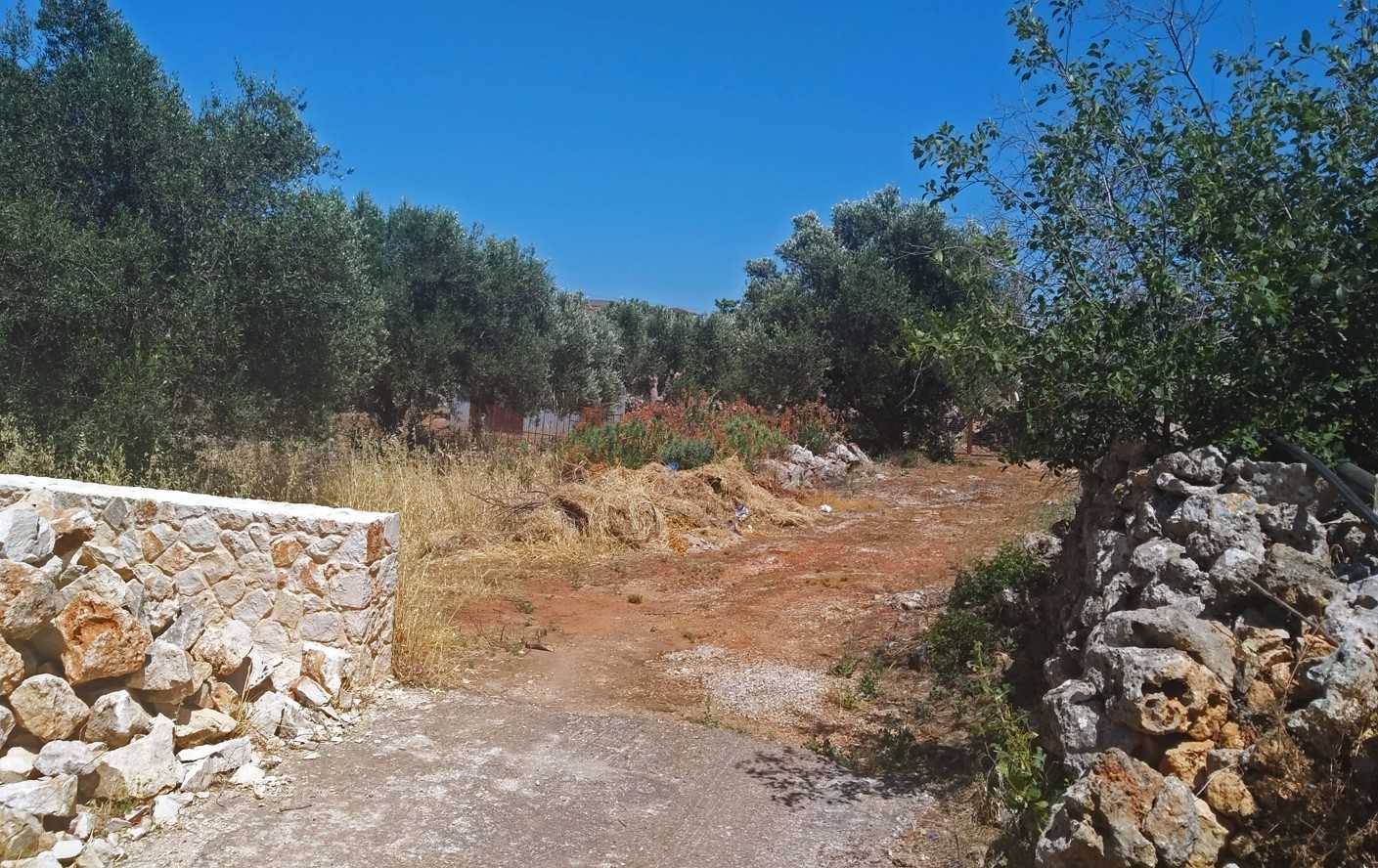 Plot for sale in Akrotiri Kathiana Chania. ID 03-2052