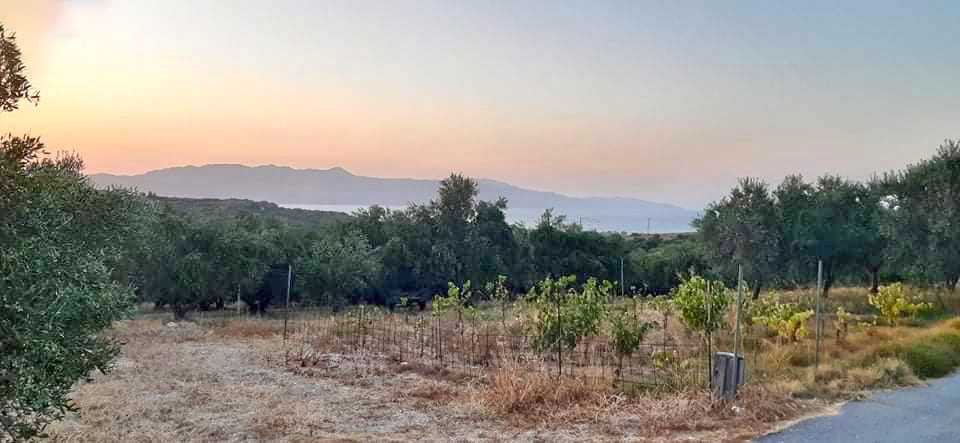 Land for sale in Chania Platanias Modi. ID 03-2012