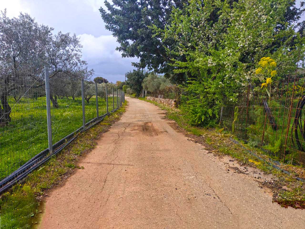 Chania Plot for sale in Pazinos. ID 03-2003