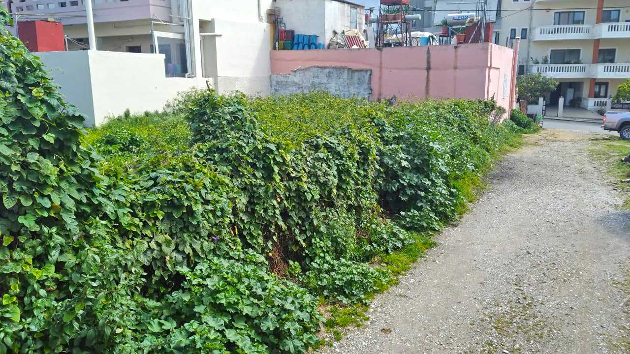 Chania Land for sale in Pachiana. ID 03-2001