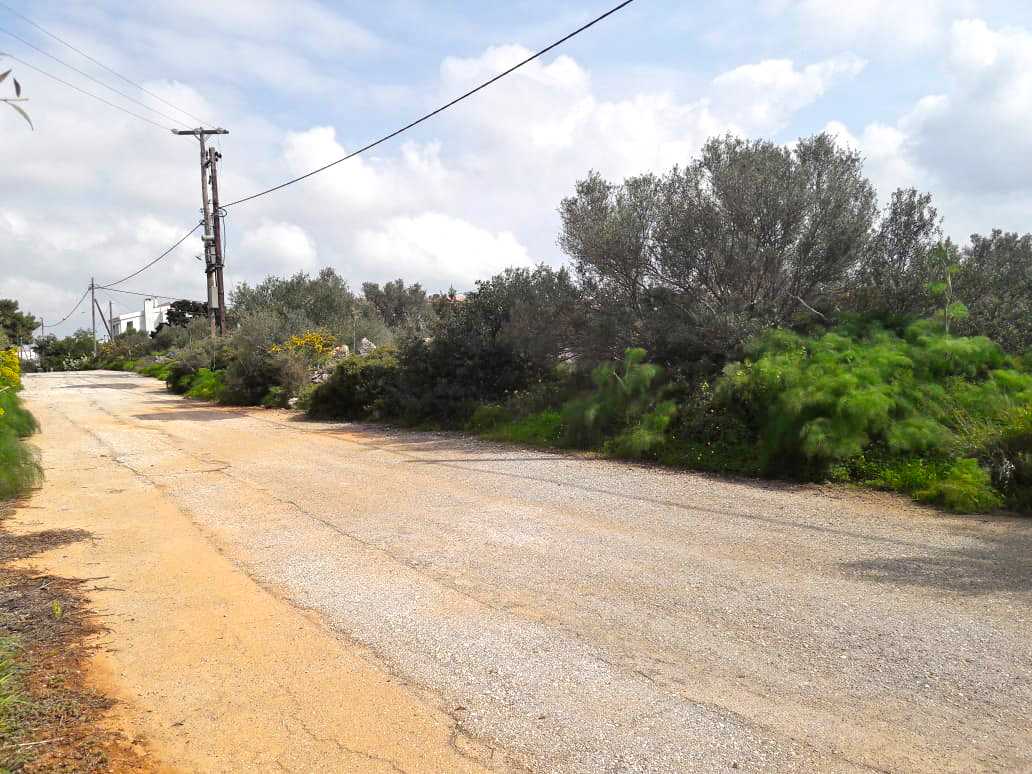 Chania Land in Korakies for sale. ID 03-1993