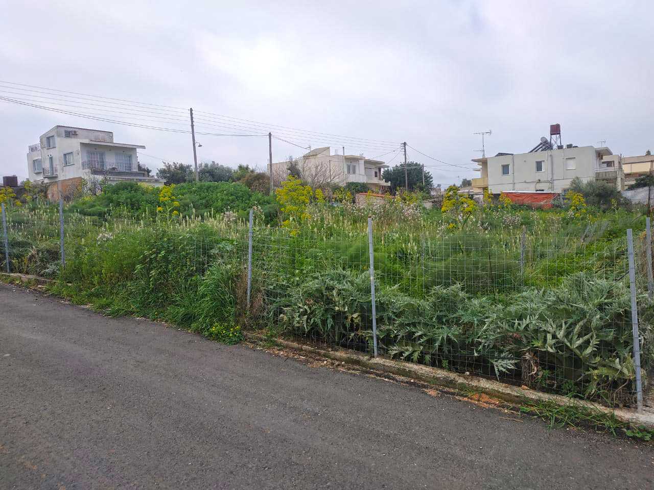 Chania Land in Kounoupidiana for sale. ID 03-1982