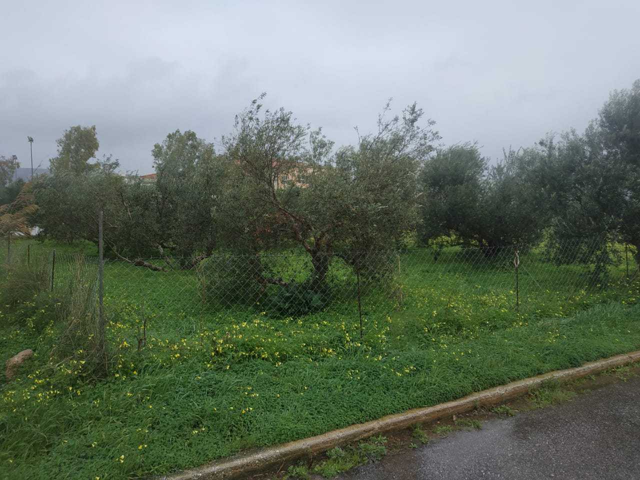 Chania Commercial Land for sale in Souda. ID 03-1950