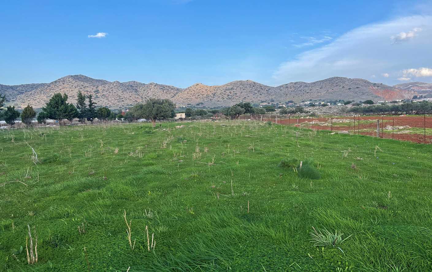 Agricultural land for sale in Chordaki Akrotiri Chania. ID 03-1943