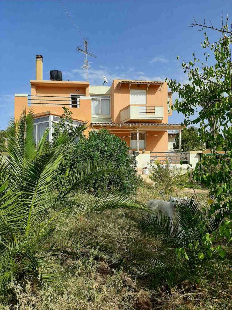 House for sale in Agia Chania. ID 04-1831