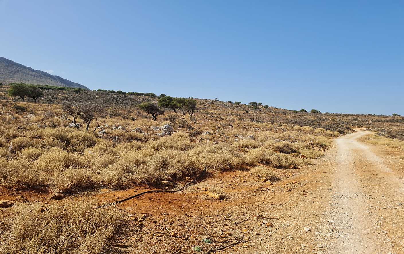 Huge Land in Kokkino Chorio Apokoronas. ID 03-1904