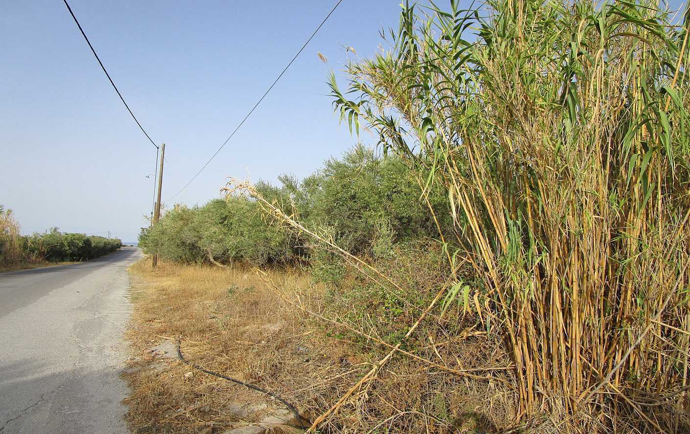 Plot for sale in Tavronitis Chania. ID 03-1902