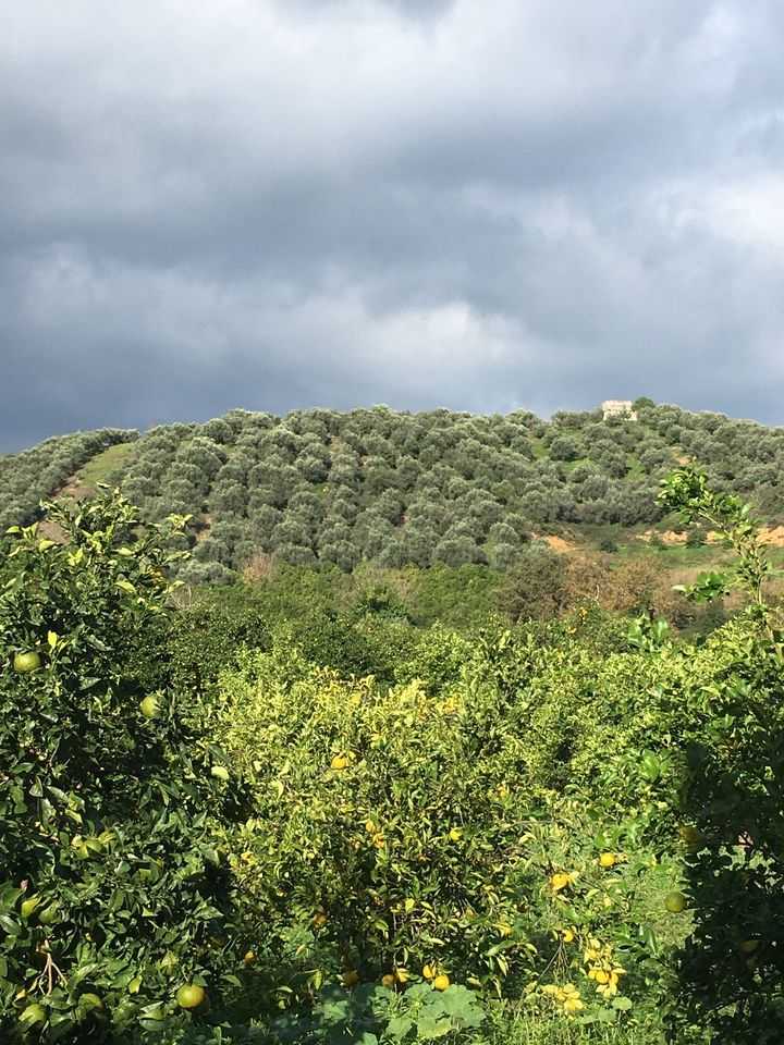 Land for sale in Fournes. ID 03-1889