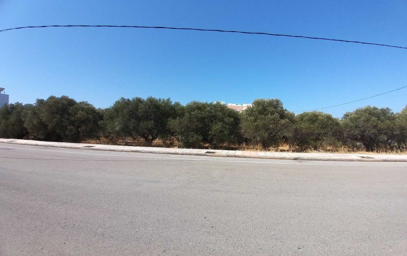 Land for sale in Profitis Ilias Chania. ID 03-1886