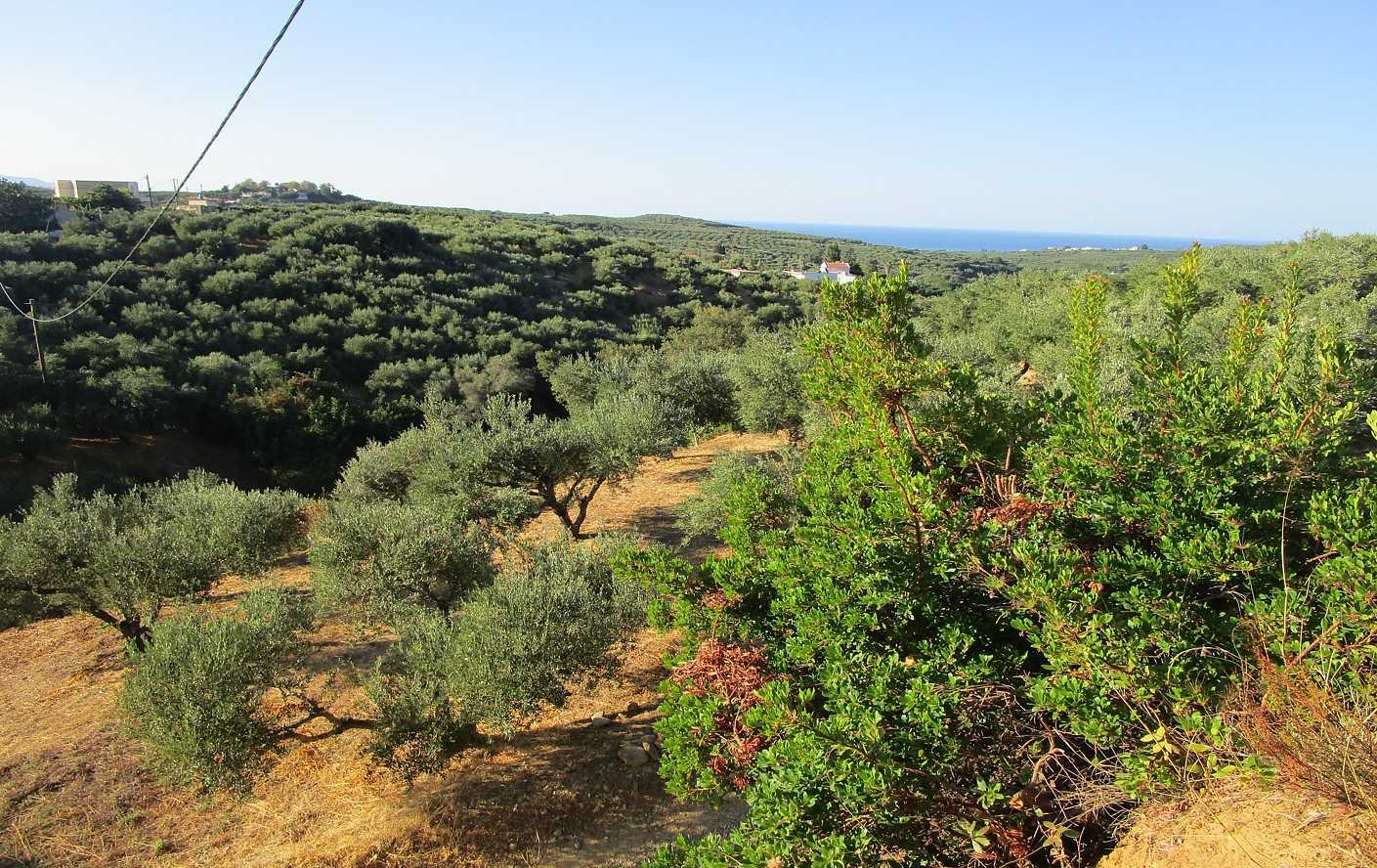 Seaview Plot for sale in Platanias Chania. ID 03-1882