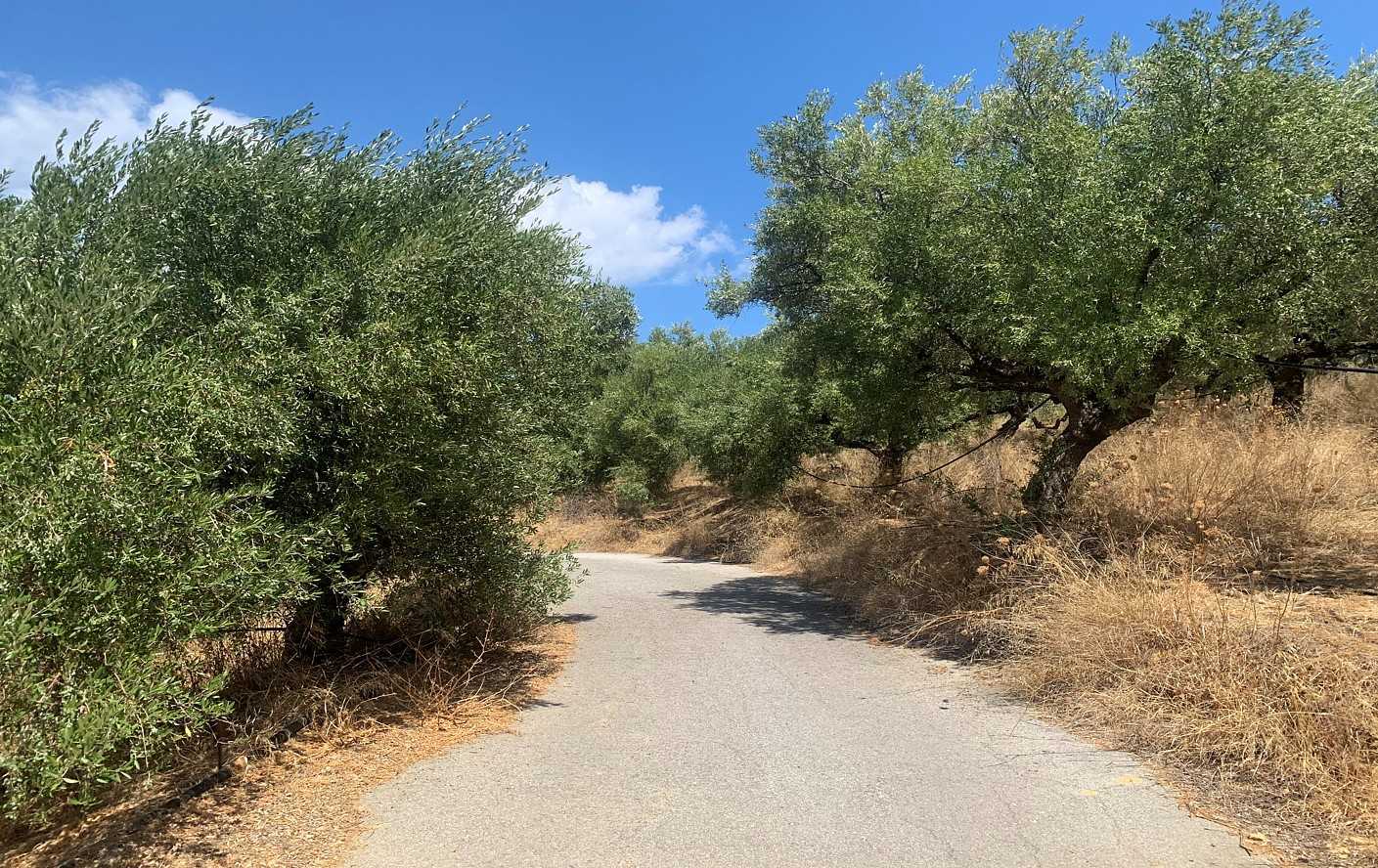 Agia Marina SeaView Plot for sale. ID 03-1873