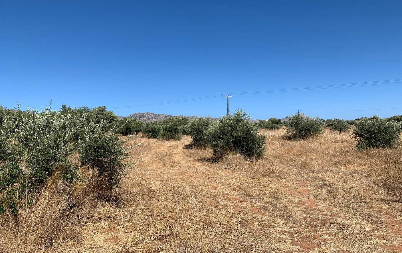 Plot for sale in Chorafakia Akrotiri Chania. ID 03-1874